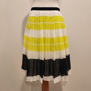 Ann Taylor Pleated Color Block Skirt, 2 Petite